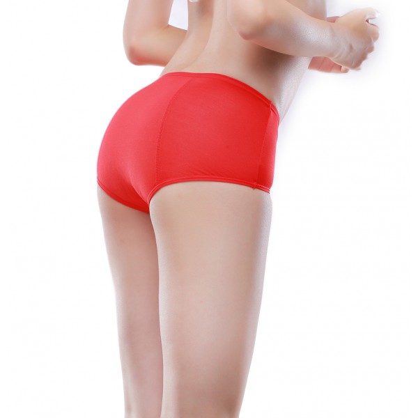 Bamboo Viscose Fiber Brief Menstrual Leakproof Panties Multi Pack US Size XXS-3XL/10