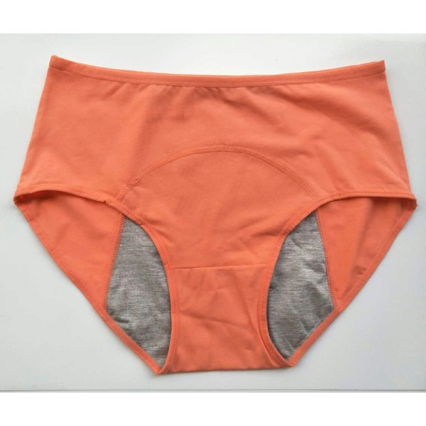 YOYI FASHION Women Breathable Cotton Leakproof Menstrual Period Briefs Panties Multi Pack US Size XXS-XXL/9